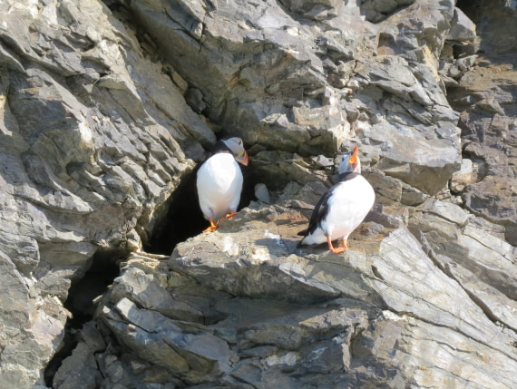 I'm here... I'm hungry!