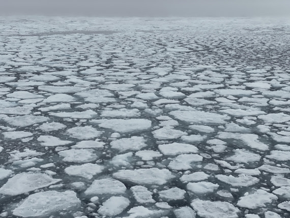 OTL09-25, Day 4, Pack Ice1 02-Aug-2025 © Unknown photographer - Oceanwide Expeditions.JPG