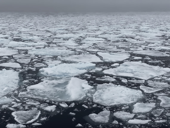 OTL09-25, Day 4, Pack Ice2 02-Aug-2025 © Unknown photographer - Oceanwide Expeditions.JPG