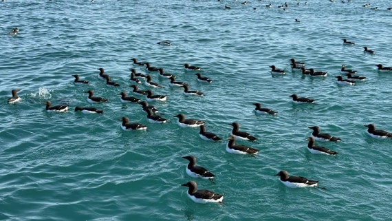 OTL09-25, Day 5, Picture5 © Unknown photographer - Oceanwide Expeditions.jpg