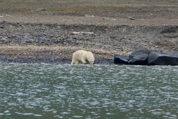 OTL09-25, Day 7, Picture9 © Unknown photographer - Oceanwide Expeditions.jpg