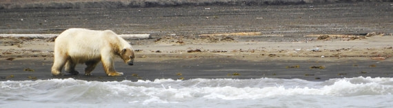 Walking along the shoreline