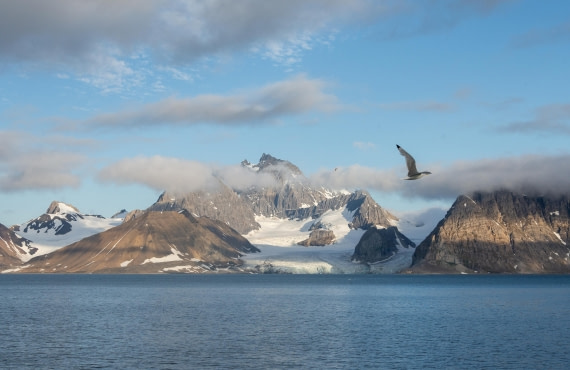 Glacier and Mountain
