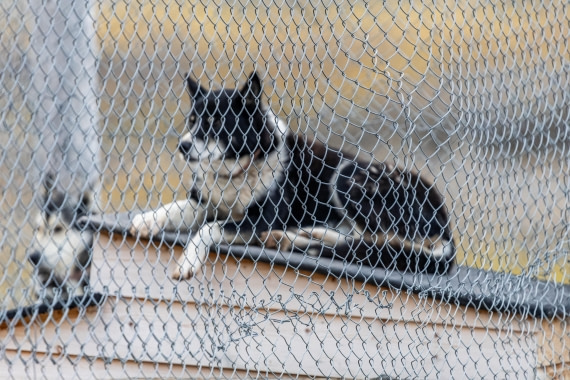 HDS10-25, Day 2, 5D5A1525 © Unknown photographer - Oceanwide Expeditions.jpg