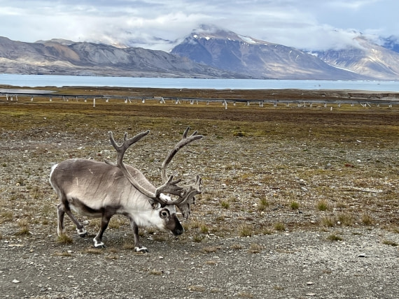 HDS10-25, Day 2, IMG_5979 © Unknown photographer - Oceanwide Expeditions.JPG