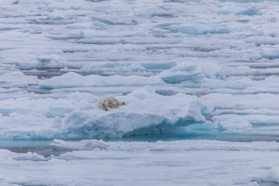 HDS10-25, Day 4, 5D5A1633 © Unknown photographer - Oceanwide Expeditions.jpg