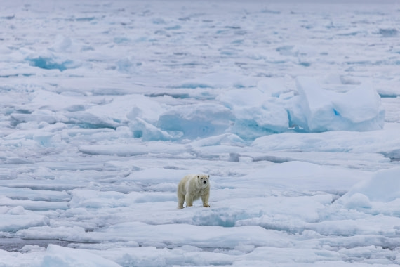 HDS10-25, Day 4, 5D5A1668 © Unknown photographer - Oceanwide Expeditions.jpg