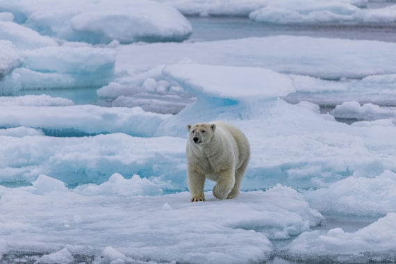 HDS10-25, Day 4, 5D5A1678 © Unknown photographer - Oceanwide Expeditions.jpg