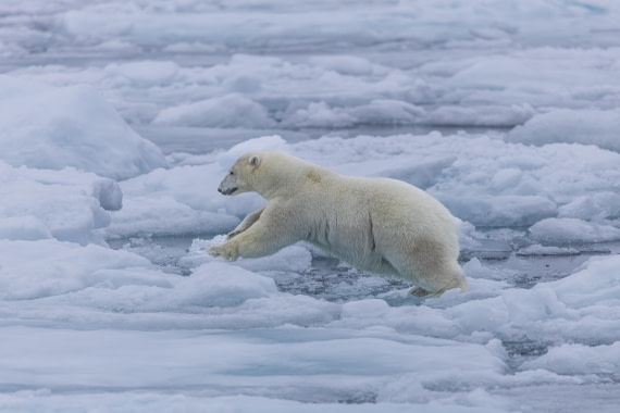 HDS10-25, Day 4, 5D5A1747 © Unknown photographer - Oceanwide Expeditions.jpg