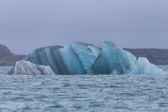 HDS10-25, Day 5, 5D5A1784 © Unknown photographer - Oceanwide Expeditions.jpg