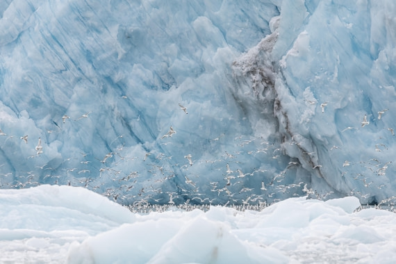 HDS10-25, Day 5, 5D5A1811 © Unknown photographer - Oceanwide Expeditions.jpg