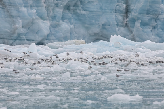HDS10-25, Day 5, 5D5A1814 © Unknown photographer - Oceanwide Expeditions.jpg