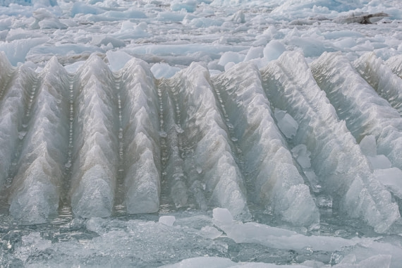 HDS10-25, Day 5, 5D5A1821 © Unknown photographer - Oceanwide Expeditions.jpg