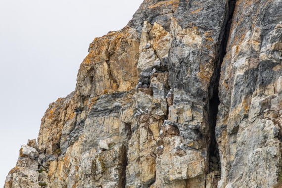 HDS10-25, Day 5, 5D5A1868 © Unknown photographer - Oceanwide Expeditions.jpg