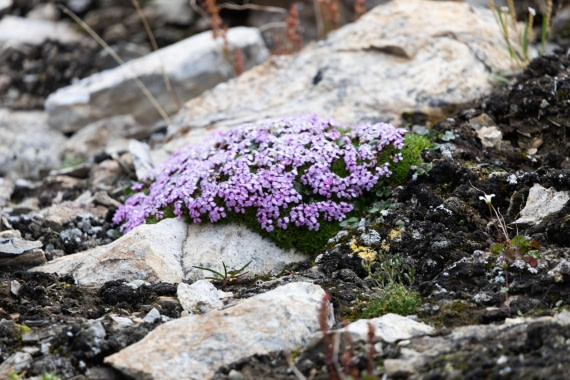 HDS10-25, Day 5, 5D5A1878 © Unknown photographer - Oceanwide Expeditions.jpg