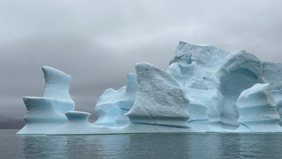 PLA11-25, Day 12, Icebergs © Unknown photographer - Oceanwide Expeditions.jpg