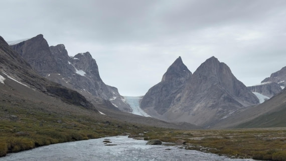 PLA11-25, Day 16, Dronning Marie Dal © Unknown photographer - Oceanwide Expeditions.jpg