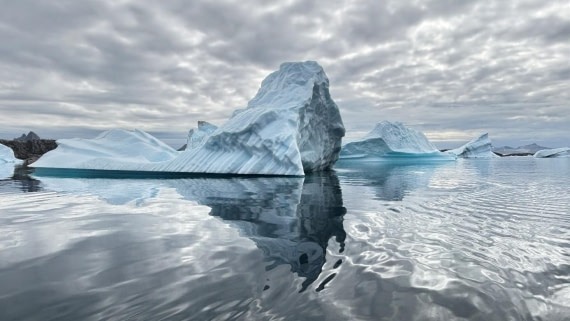 PLA11-25, Day 17, Icebergs © Unknown photographer - Oceanwide Expeditions.jpg