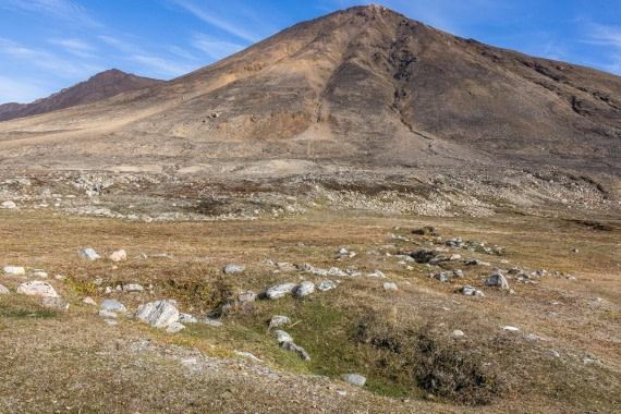 HDS11-25, Day 5, 5D5A2371 © Unknown photographer - Oceanwide Expeditions.jpg
