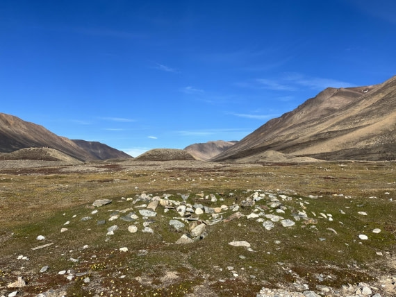HDS11-25, Day 5, thumbnail_IMG_2909.jpg © Unknown photographer - Oceanwide Expeditions.jpg