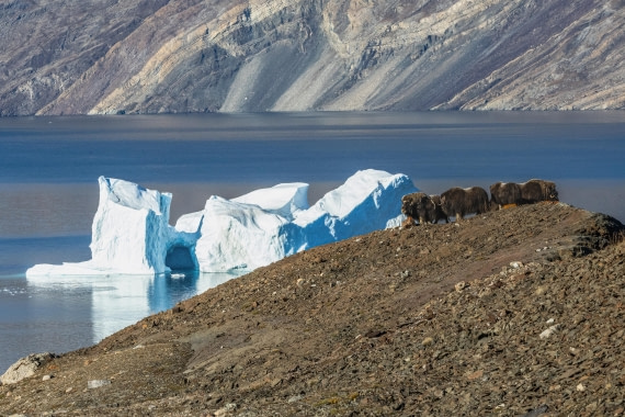 HDS11-25, Day 6, 5D5A2581 © Unknown photographer - Oceanwide Expeditions.jpg