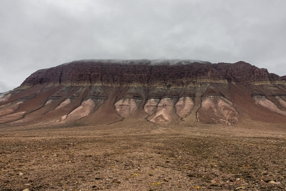HDS11-25, Day 8, 5D5A2901 © Unknown photographer - Oceanwide Expeditions.jpg