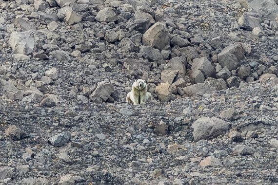 HDS11-25, Day 9, 5D5A3109 © Unknown photographer - Oceanwide Expeditions.jpg