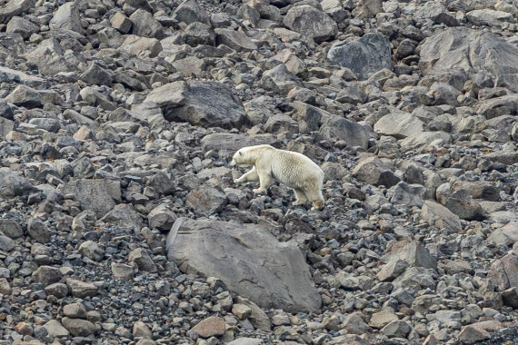 HDS11-25, Day 9, 5D5A3114 © Unknown photographer - Oceanwide Expeditions.jpg