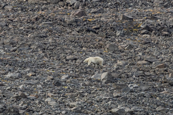 HDS11-25, Day 9, 5D5A3118 © Unknown photographer - Oceanwide Expeditions.jpg