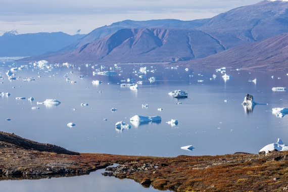 HDS11-25, Day 10, 5D5A3279 © Unknown photographer - Oceanwide Expeditions.jpg