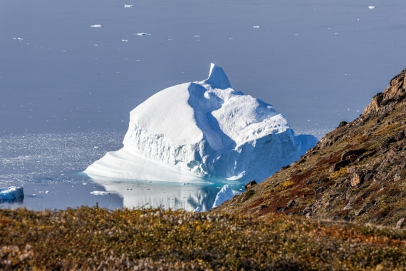 HDS11-25, Day 10, 5D5A3285 © Unknown photographer - Oceanwide Expeditions.jpg