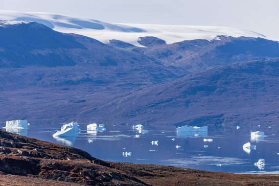 HDS11-25, Day 10, 5D5A3326 © Unknown photographer - Oceanwide Expeditions.jpg