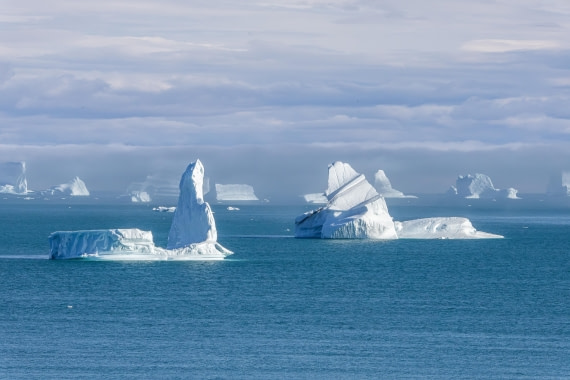 HDS11-25, Day 11, 5D5A3419 © Unknown photographer - Oceanwide Expeditions.jpg