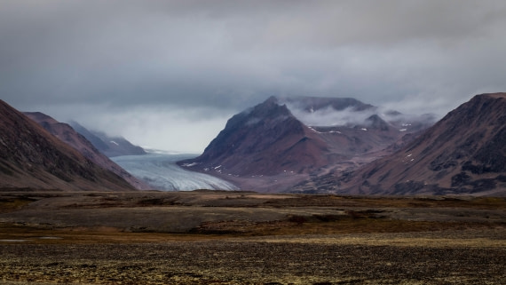 HDS11-25, Day 12, RLO_5821.jpg © Alexander Romanovski - Oceanwide Expeditions.jpg