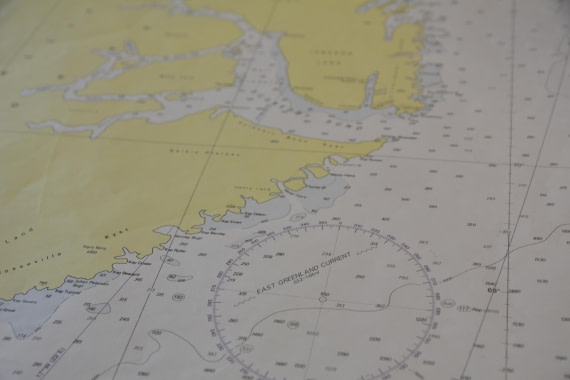 HDS11-25, Day 13, _DSC1125 © Unknown photographer - Oceanwide Expeditions.JPG