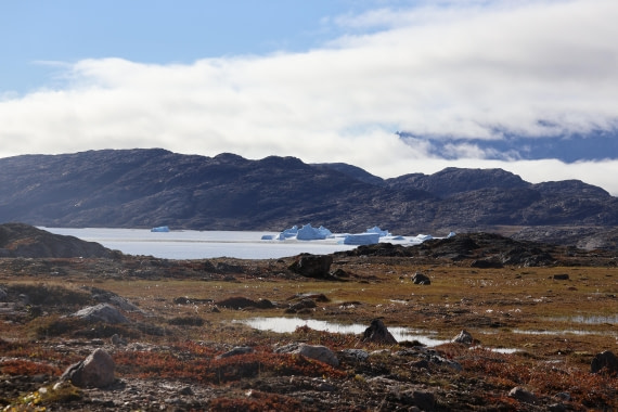 OTL12-25, Day 4, IMG_3683.JPG © Beth Hitchcock - Oceanwide Expeditions.JPG