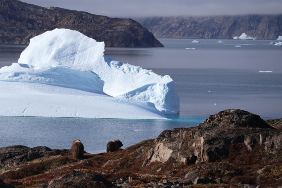 OTL12-25, Day 4, IMG_3692.JPG © Beth Hitchcock - Oceanwide Expeditions.JPG