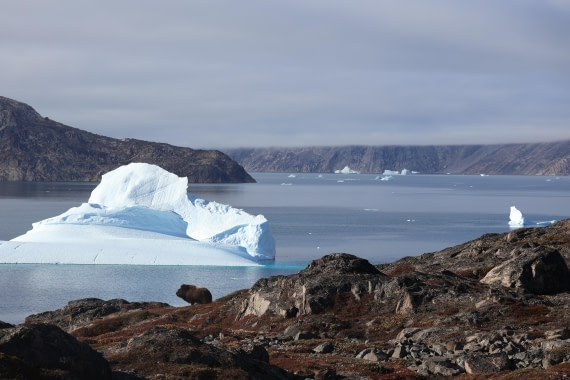 OTL12-25, Day 4, IMG_3696.JPG © Beth Hitchcock - Oceanwide Expeditions.JPG