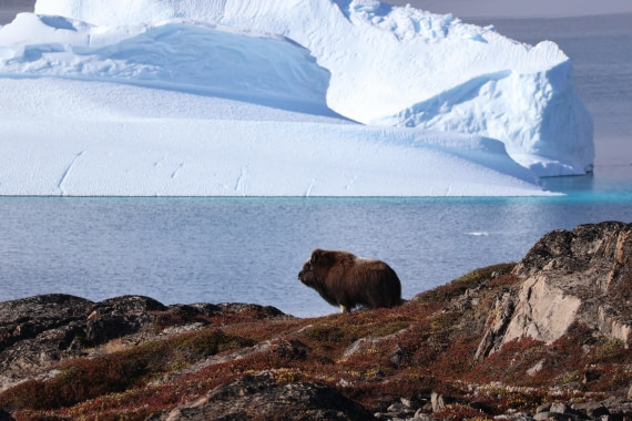 OTL12-25, Day 4, IMG_3698.JPG © Beth Hitchcock - Oceanwide Expeditions.JPG