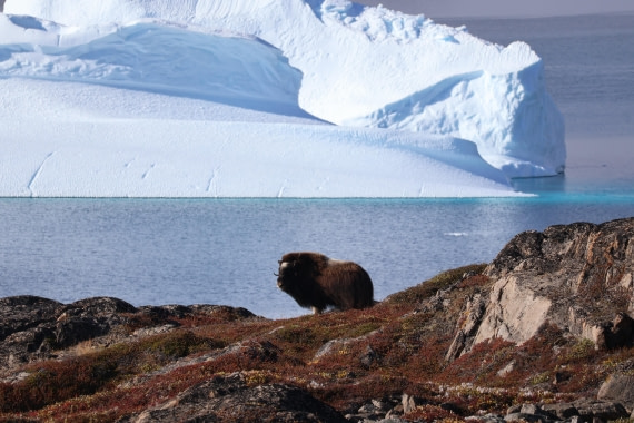 OTL12-25, Day 4, IMG_3701.JPG © Beth Hitchcock - Oceanwide Expeditions.JPG