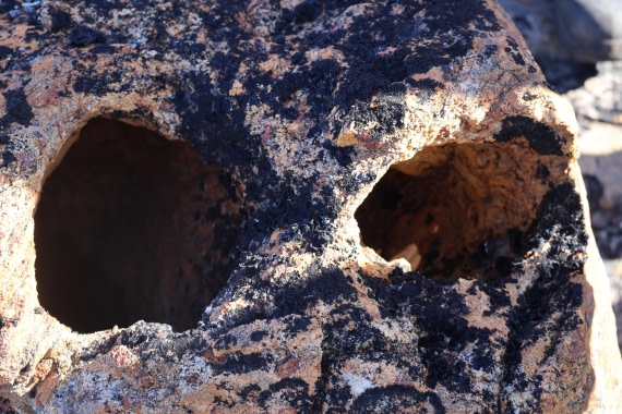 OTL12-25, Day 4, IMG_3737.JPG © Beth Hitchcock - Oceanwide Expeditions.JPG