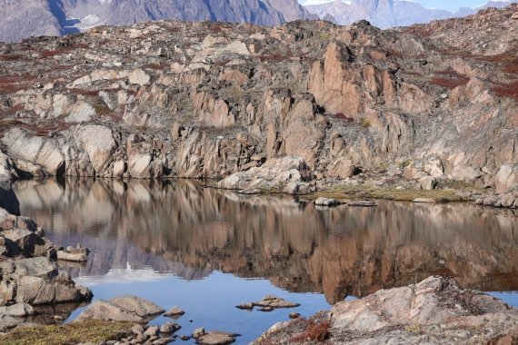 OTL12-25, Day 4, IMG_3740.JPG © Beth Hitchcock - Oceanwide Expeditions.JPG