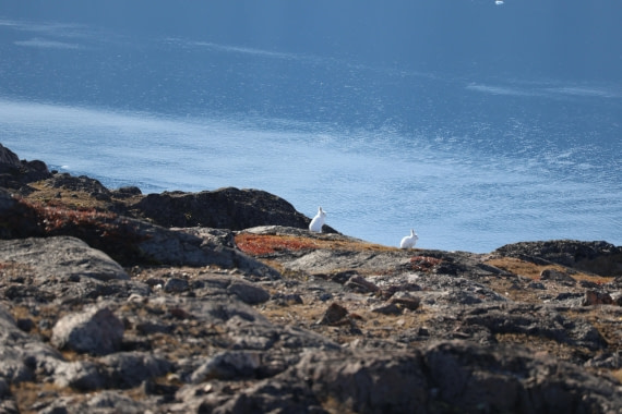 OTL12-25, Day 4, IMG_3752.JPG © Beth Hitchcock - Oceanwide Expeditions.JPG