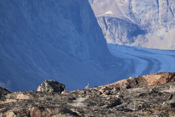 OTL12-25, Day 4, IMG_3759.JPG © Beth Hitchcock - Oceanwide Expeditions.JPG