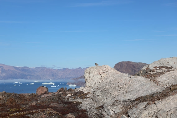 OTL12-25, Day 4, IMG_3799.JPG © Beth Hitchcock - Oceanwide Expeditions.JPG