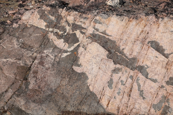 OTL12-25, Day 4, IMG_3800.JPG © Beth Hitchcock - Oceanwide Expeditions.JPG