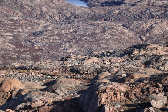 OTL12-25, Day 4, IMG_3802.JPG © Beth Hitchcock - Oceanwide Expeditions.JPG