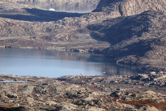 OTL12-25, Day 4, IMG_3807.JPG © Beth Hitchcock - Oceanwide Expeditions.JPG