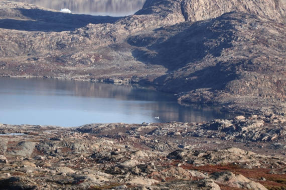 OTL12-25, Day 4, IMG_3808.JPG © Beth Hitchcock - Oceanwide Expeditions.JPG