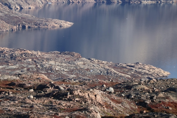 OTL12-25, Day 4, IMG_3809.JPG © Beth Hitchcock - Oceanwide Expeditions.JPG